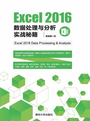 Excel 2016 数据处理与分析实战秘籍 从理论到实践的高效指南